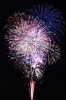 2020年夏 新潟市内の花火大会特集 花火情報 新潟市 まいぷれ 新潟市