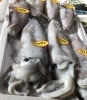 「魚魚市場鮮魚コーナーおすすめは「ヒゲダラ」です♪」
