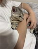 「今日の黒板｜何度挑戦しても、その経験はきっと残る＆夏の思い出4位！！😊」