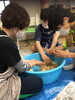 「作ったみそを熟成中です(^.^)」