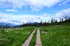 至仏山途中の湿原「オヤマオヤマ沢田代」（標高2,040m）「お盆期間のお休みについて」