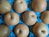 梨「湯津上からの梨が届きました」