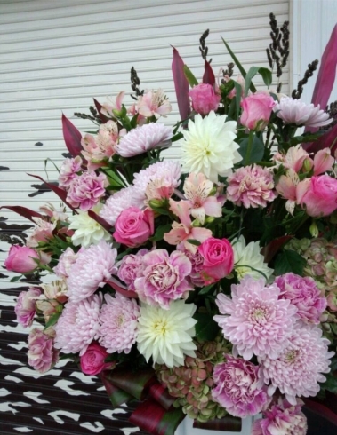 ピンクのドラセナを入れ込んでピンク系で押す御祝い「春のお祝いスタンド花」