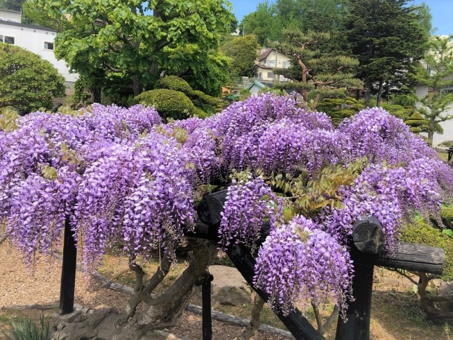 「彩りが鮮やかに」