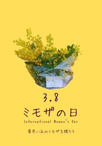 「3月8日は国際女性デー&ミモザの日です！伊予市佐礼谷黄色い丘で『イヨミモザまつり2024』が開催されます♪」