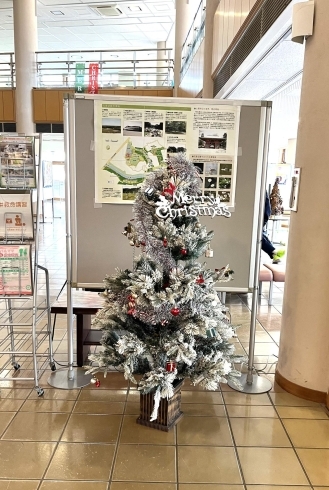 花島CC「メリークリスマス！　子どもが家庭で育つ機会を　千葉事務所　都賀駅徒歩５分」