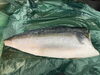 ほどの良い脂と旨味「夏の旬魚が入荷しました！龍神の本日のおすすめ」