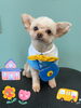 「Dog salon mofu mofu 余市町」