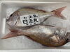 「鮮魚パックいろいろ販売中‼️〆鯖も販売致します🐳」