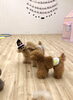 ん？　まるくん頭に何か乗ってるよ　byきぃ＆くま「ましゅまろ幼稚園🐾パート２」