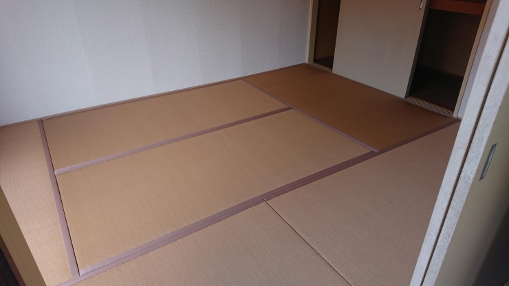 6畳の部屋に樹脂表を使っています。縁つきの畳。「カラーの畳に表替え」