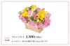 1月の旬花 スイートピー 梅 花キューピットでお花じかん まいぷれ 黒部 入善 朝日