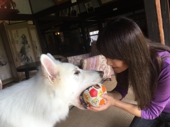 広島県議会議員 伊藤まゆみさん 輝らり人 インタビュー まいぷれ 安芸郡 広島県議会議員 伊藤まゆみさん 輝らり人 インタビュー まいぷれ 安芸郡