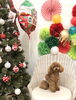 Merry Xmas ☆「ましゅまろ幼稚園　^ - ^」