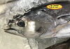 「魚魚市場鮮魚コーナーおすすめは「生サンマ」です♪」
