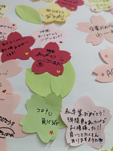 「卒業おめでとうの桜を咲かせよう まいぷれ地元情報【JR安城駅】」