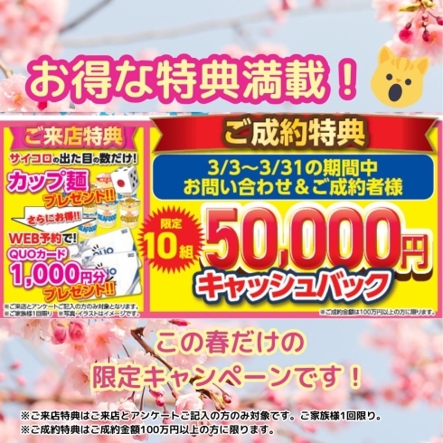ご成約特典は5万円キャッシュバック！！？「ガイソー淡路島店🌸春の外壁塗装祭を開 催します！3月31日まで！」