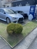 整えられた植物達🪴「展示場の環境整備を実施しました！スポーツカーが映える植栽と設備のご紹介」