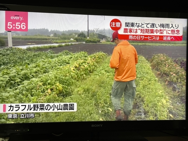 雨でもMIZUNOのカッパは撥水力が凄く快適！「☆カラフル野菜の小山農園『news every』無事にオンエア📺☆」