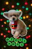 「Dog salon mofu mofu　余市町」