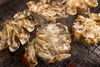カニ肩肉の炭火焼き「🦀冬のご馳走、カニを味わい尽くす🦀」