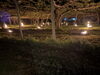 「梨を霜から守る夜の畑―防霜対策ー」