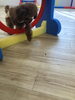 リング跳びも少し出来ましたよ　(*´꒳`*)「ましゅまろ幼稚園　^o^」