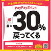 「ヒレ肉カットステーキ」