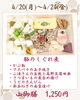 「【今週のお弁当のご紹介🌷】」