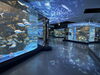 のとじま水族館「日本海側最大規模の水族館のとじま水族館を訪問/水槽レンタルとメンテナンスのアクアデザインブルース/震災復興/」