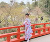伏見稲荷大社「花見と散策」
