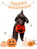 「Dog salon mofu mofu　余市町」