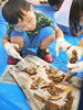 「🦴【1700万年前の化石を発掘！？】　”恐竜王国inまいづる リターンズ ”🦕」