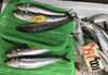 「魚魚市場鮮魚コーナーおすすめは「真鯛・クロ」です♪」