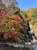 備中松山城「秋の紅葉🍁」