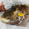 「魚魚市場鮮魚コーナーおすすめは「白魚・殻付き牡蠣」です♪」