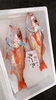 最高級ノドグロ「久しぶりのナギ🐟」