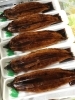「魚魚市場鮮魚コーナーおすすめは「ヤリイカ」です♪」