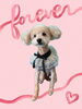 「Dog salon mofu mofu　余市町」