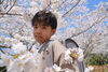 桜撮影会「桜撮影会大好評でした」