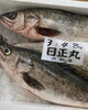 「ホームページはこちら🔗iwafunegyokou.com」