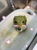 「可愛い子ちゃん♡ Dog salon mofu mofu 余市町」