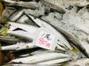 「魚魚市場鮮魚コーナーおすすめは「バーベキュー3点セット」です」