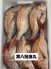 鯛「本日岩牡蠣入荷致しました」
