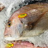 「魚魚市場鮮魚コーナーおすすめは「ヒオウギ貝・地タコ」です♪」