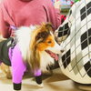 ノアちゃん「今日のお友達」