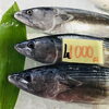 「魚魚市場鮮魚コーナーおすすめは「シャコ」です♪」
