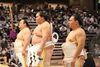伊勢ヶ濱部屋「2022年7月10日(日) – 2022年7月24日(日) ドルフィンズアリーナで開催される大相撲7月場所（名古屋）では前頭東12枚目照強の淡路島照強後援会です（兵庫県南あわじ市出身　伊勢ヶ濱部屋所属）」
