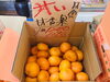 「冬の栄養不足にはみかんを食べましょう！【お肉・野菜・果物は清武町の黒木商店で♪】」