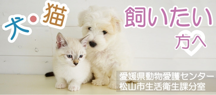 保護動物の譲渡を希望される方 犬 猫を飼いたい ペット情報まとめ 松山 伊予 東温 松前 砥部 まいぷれ 松山 伊予 東温 松前 砥部 保護動物の譲渡を希望される方 犬 猫を飼いたい ペット情報まとめ 松山 伊予 東温 松前 砥部 まいぷれ 松山 伊予 東温 松前 砥部